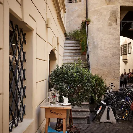 Hotel Saltus